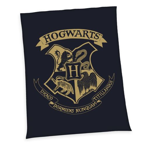 4006891960450 - Harry Potter Wellsoft-Flauschdecke Größe 150 x 200 cm