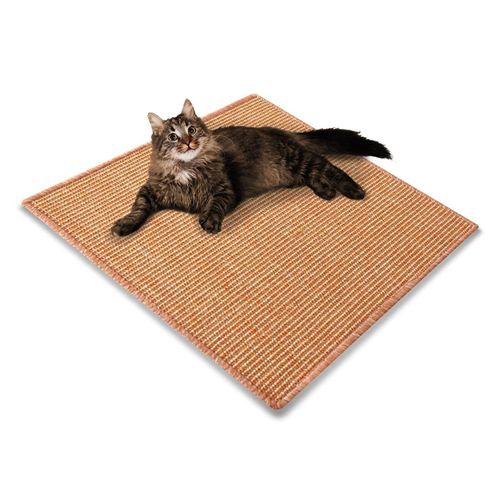 4251041676112 - Floordirekt Katzen-Kratzteppich Katzen 13197 Terra Apricot Quadratisch 1000 mm x 1000 mm 4251041676112 - Floordirekt Katzen-Kratzteppich Katzen 13197 Terra Apricot Quadratisch 1000 mm x 1000 mm