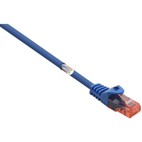 4064161205854 - RJ45 Netzwerkkabel Patchkabel cat 6 u utp 300 m Blau mit Rastnasenschutz Halogenfrei 1 - Renkforce