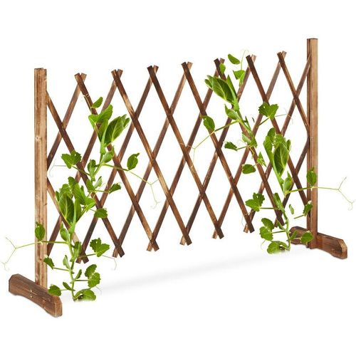 4052025459482 - Rankgitter Holz ausziehbar bis 185 cm Rankhilfe Kletterpflanzen Scherengitter freistehend Garten natur - Relaxdays