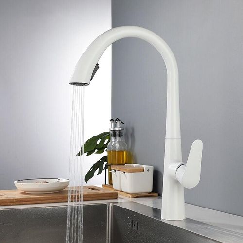 8131010854085 - Petites Ecrevisses - Wasserhahn Küche Ausziehbar Einhand Mischbatterie 360° Drehbar Modern Spültischarmatur für Küche mit 2 Strahlarten Weiß