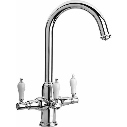 8000177254895 - Paini France - Spültischmischer für gereinigtes Wasser Paini Kitchen RGCR543DFSFL1 Chrom - Chrom