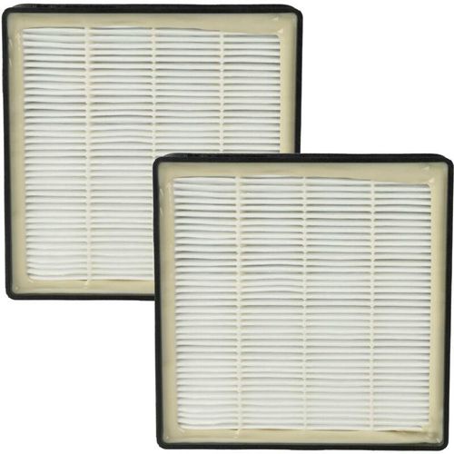 4068201419096 - Vhbw - 2x Staubsaugerfilter Ersatz für Rowenta 2210016094 RS-RT3186 für Staubsauger - hepa Filter