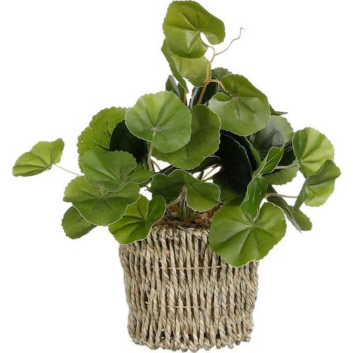 8720362053811 - - Mica Kunstpflanze Pilea im Korb grün 33 x 12 cm Kunstpflanzen