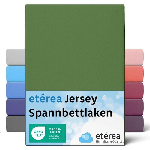 4055971102266 - Comfort Jersey Spannbettlaken Kaktus 200x220 cm - 200x220 cm - Kaktus - Etérea