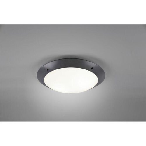 8055303887188 - Iperbriko - Außen-Deckenleuchte Camaro Anthrazit IP54 Ø33 cm Trio Lighting