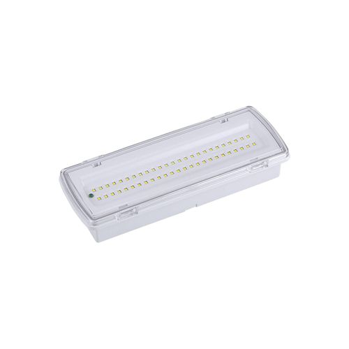 4038104158262 - LED-Fluchtwegleuchte Wasen Ein- Aufbau IP65 4000K