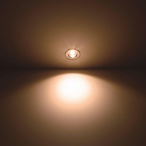 8718699755744 - Led Badezimmerspot Dive Sl261 in Nickel 55W 350lm IP65 - grey - Philips