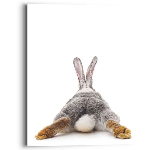 8714597598414 - Wandbild REINDERS Wandbild Kaninchen Rabbit - Hase Schwanz Relax Bilder Gr B H 40 cm x 50 cm Hasen 1 St weiß Kunstdrucke