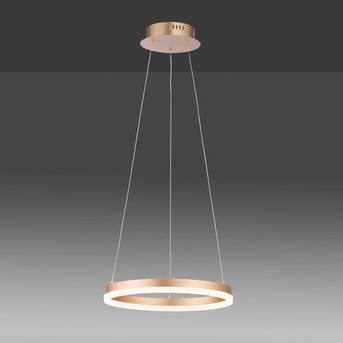 4012248362846 - Paul Neuhaus LED Pendelleuchte stufenlos dimmbar Ø40cm weiß TITUS