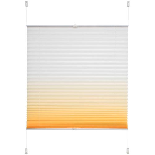 4016318387876 - Liedeco Plissee »Farbverlauf« Lichtschutz ohne Bohren verspannt