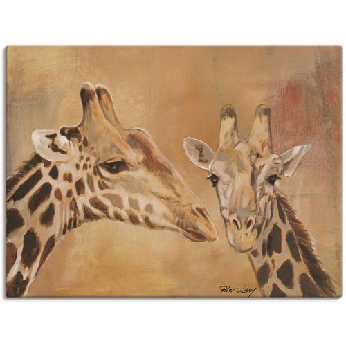 4055327150491 - Wandbild ARTLAND Giraffen Bilder Gr B H 120 cm x 90 cm Leinwandbild Wildtiere 1 St braun Bild Poster Bilder als Alubild Leinwandbild Wandaufkleber oder in versch Größen
