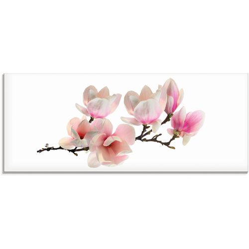 4055327195782 - Glasbild ARTLAND Magnolie Bilder Gr B H 125 cm x 50 cm Glasbild Blumen 1 St pink Glasbilder in verschiedenen Größen