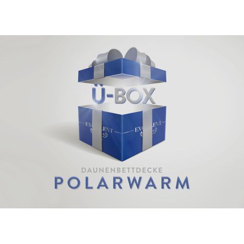 4033829040229 - Daunenbettdecke Überraschungsbox Bettdecken Gr B L 135 cm x 200 cm polarwarm bunt Allergiker Bettdecke absoluter Sonderpreis wegen Lagerräumung Solange der Vorrat reicht