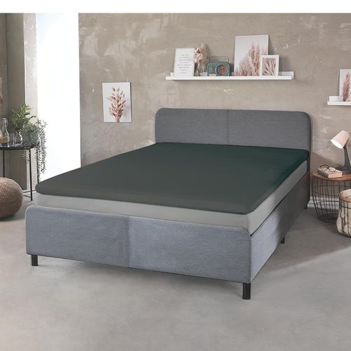 4024008168056 - DREAMTEX Topper + Boxspring SBT