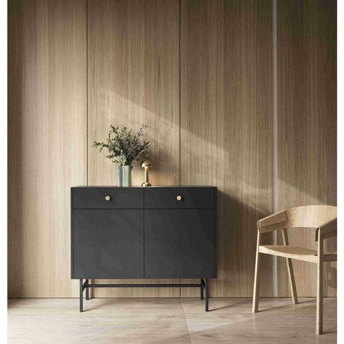 5905351293574 - Kommode Taylie Sideboard mit zwei Schubladen und zwei Türen Schwarz - Furnix