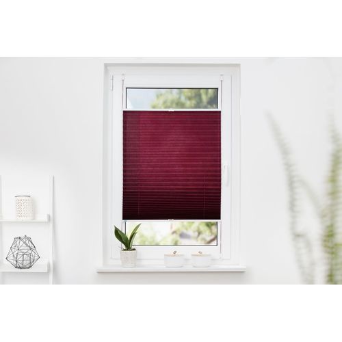 4260459062790 - K-HOME Plissee »Klemmfix Pisa« Lichtschutz ohne Bohren verspannt Crushed-Optik