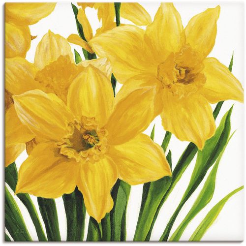 4055327138086 - Wandbild ARTLAND Gelbe Narzissen Bilder Gr B H 30 cm x 30 cm Leinwandbild Blumen 1 St gelb Bild Leinwandbild Kunstdrucke Bilder als Alubild Leinwandbild Wandaufkleber oder Poster in versch Größen
