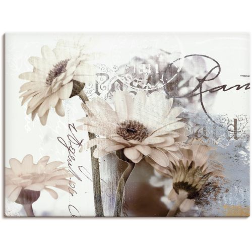 4055327294744 - Wandbild ARTLAND Gerberas_Detail Bilder Gr B H 40 cm x 30 cm Leinwandbild Blumenbilder Querformat 1 St weiß Kunstdrucke als Leinwandbild Wandaufkleber oder Poster in versch Größen