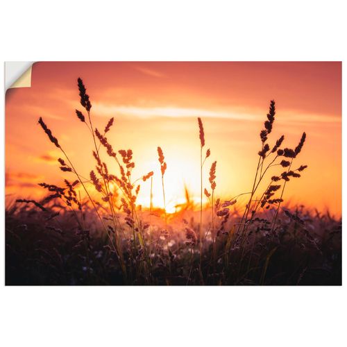 4058661757869 - Wandbild ARTLAND Träumen Bilder Gr B H 90 cm x 60 cm Wandaufkleber - Vinyl Felder Querformat 1 St orange Bild Poster Bilder als Alubild Leinwandbild Wandaufkleber oder in versch Größen