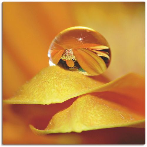 4055327624169 - Wandbild ARTLAND Wassertropfen II Bilder Gr B H 40 cm x 40 cm Leinwandbild Blätter 1 St orange Bild Kunstdruck Poster Bilder als Leinwandbild Wandaufkleber oder in versch Größen 4055327624169 - Wandbild ARTLAND Wassertropfen II Bilder Gr B H 40 cm x 40 cm Leinwandbild Blätter 1 St orange Bild Kunstdruck Poster Bilder als Leinwandbild Wandaufkleber oder in versch Größen