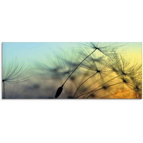 4062144151907 - Glasbild ARTLAND Goldener Sonnenuntergang und Pusteblumen Bilder Gr B H 125 cm x 50 cm Glasbild Blumen 1 St gelb Glasbilder in verschiedenen Größen