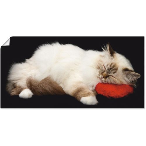 4055327326346 - Wandbild ARTLAND Müde Katze Bilder Gr B H 100 cm x 50 cm Poster Haustiere 1 St schwarz Bild Kunstdruck Leinwandbild Kunstdrucke Bilder als Alubild Leinwandbild Wandaufkleber oder Poster in versch Größen