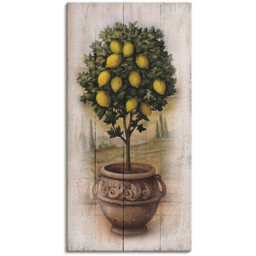 4062144550878 - Wandbild ARTLAND Zitronenbaum mit Holzoptik Bilder Gr B H 50 cm x 100 cm Leinwandbild Bäume quadratisch 1 St beige (naturfarben) Bild Leinwandbild Kunstdrucke Bilder als Leinwandbild Wandaufkleber oder Poster in versch Größen 4062144550878 - Wandbild ARTLAND Zitronenbaum mit Holzoptik Bilder Gr B H 50 cm x 100 cm Leinwandbild Bäume quadratisch 1 St beige (naturfarben) Bild Leinwandbild Kunstdrucke Bilder als Leinwandbild Wandaufkleber oder Poster in versch Größen