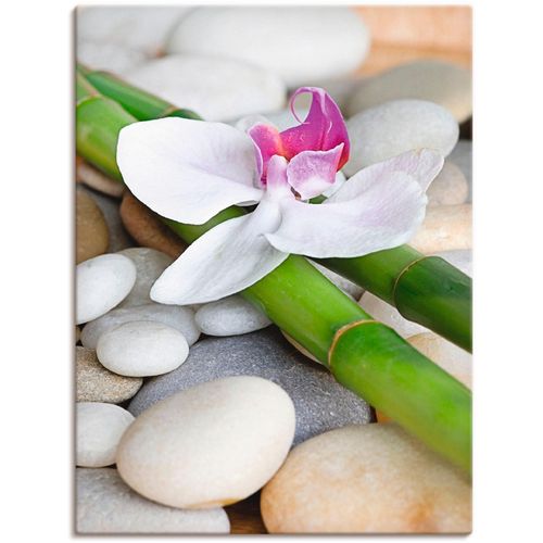 4057738843894 - Wandbild ARTLAND Zen Orchidee Bilder Gr B H 45 cm x 60 cm Leinwandbild Zen Hochformat 1 St weiß Bild Poster Bilder als Alubild Leinwandbild Wandaufkleber oder in versch Größen