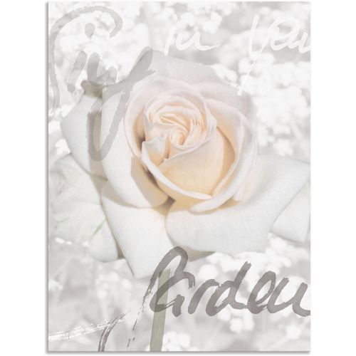 4057738405825 - Wandbild ARTLAND In Lettern - Rose Bilder Gr B H 30 cm x 40 cm Alu-Dibond-Druck Blumen 1 St weiß Bild Leinwandbild Kunstdrucke Bilder als Alubild Leinwandbild Wandaufkleber oder Poster in versch Größen