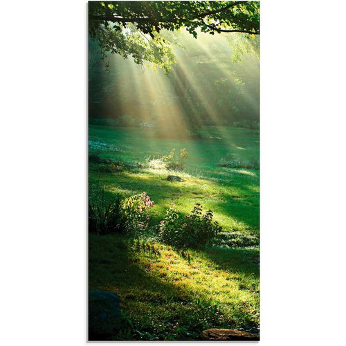4058661599421 - Glasbild ARTLAND Lichtkegel Bilder Gr B H 50 cm x 100 cm Glasbild Wald 1 St grün Glasbilder in verschiedenen Größen 4058661599421 - Glasbild ARTLAND Lichtkegel Bilder Gr B H 50 cm x 100 cm Glasbild Wald 1 St grün Glasbilder in verschiedenen Größen