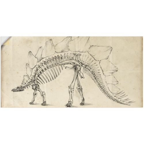4058661310903 - Wandbild ARTLAND Dinosaurier Lehre III Bilder Gr B H 40 cm x 20 cm Wandaufkleber - Vinyl Dinosaurier Querformat 1 St beige (naturfarben) Bild Metallbild Metallbilder Bilder als Alubild Leinwandbild Wandaufkleber oder Poster in versch Größen 4058661310903 - Wandbild ARTLAND Dinosaurier Lehre III Bilder Gr B H 40 cm x 20 cm Wandaufkleber - Vinyl Dinosaurier Querformat 1 St beige (naturfarben) Bild Metallbild Metallbilder Bilder als Alubild Leinwandbild Wandaufkleber oder Poster in versch Größen