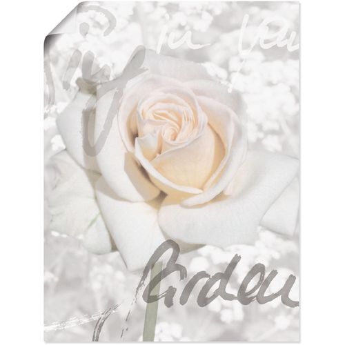 4055327289030 - Wandbild ARTLAND In Lettern - Rose Bilder Gr B H 30 cm x 40 cm Poster Blumen 1 St weiß Bild Leinwandbild Kunstdrucke Bilder als Alubild Leinwandbild Wandaufkleber oder Poster in versch Größen