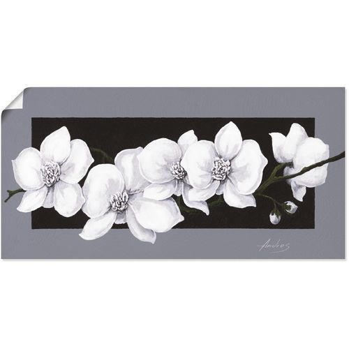 4055327298131 - Wandbild ARTLAND Weiße Orchideen auf grau Bilder Gr B H 100 cm x 50 cm Poster Blumen 1 St schwarz Bild Leinwandbild Kunstdrucke Bilder als Alubild Leinwandbild Wandaufkleber oder Poster in versch Größen 4055327298131 - Wandbild ARTLAND Weiße Orchideen auf grau Bilder Gr B H 100 cm x 50 cm Poster Blumen 1 St schwarz Bild Leinwandbild Kunstdrucke Bilder als Alubild Leinwandbild Wandaufkleber oder Poster in versch Größen