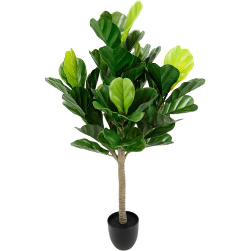 4019844797898 - Kunstbaum Tabakbaum im Topf künstlich Geigenblatt Feigenbaum Feigenblattpflanze IGEA Höhe 98 cm Elefantenbaum Baum Zimmerpflanze Kunstpflanze Pflanze Baum Dekopflanze grün 4019844797898 - Kunstbaum Tabakbaum im Topf künstlich Geigenblatt Feigenbaum Feigenblattpflanze IGEA Höhe 98 cm Elefantenbaum Baum Zimmerpflanze Kunstpflanze Pflanze Baum Dekopflanze grün