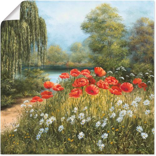4055327272148 - Wandbild ARTLAND Mohnwiese am See Bilder Gr B H 70 cm x 70 cm Poster Blumenwiese 1 St grün Bild Poster Bilder als Alubild Leinwandbild Wandaufkleber oder in versch Größen