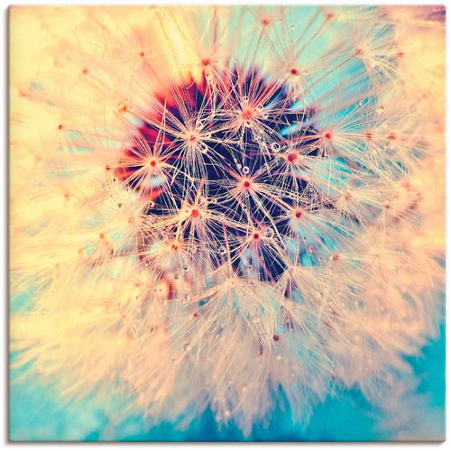 4058661286093 - Wandbild ARTLAND Pusteblume ganz nah Bilder Gr B H 50 cm x 50 cm Leinwandbild Blumen 1 St blau Bild Kunstdruck Metallbild Metallbilder Bilder als Alubild Leinwandbild Wandaufkleber oder Poster in versch Größen