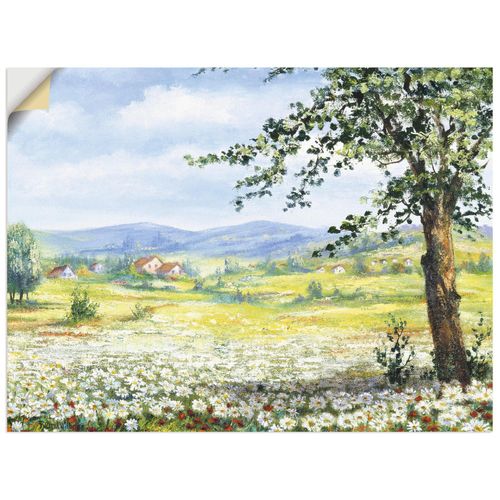 4062144387009 - Wandbild ARTLAND Margeritenfeld Bilder Gr B H 40 cm x 30 cm Wandaufkleber - Vinyl Wiesen & Bäume Querformat 1 St grün Bild Leinwandbild Kunstdrucke Bilder als Leinwandbild Wandaufkleber oder Poster in versch Größen 4062144387009 - Wandbild ARTLAND Margeritenfeld Bilder Gr B H 40 cm x 30 cm Wandaufkleber - Vinyl Wiesen & Bäume Querformat 1 St grün Bild Leinwandbild Kunstdrucke Bilder als Leinwandbild Wandaufkleber oder Poster in versch Größen