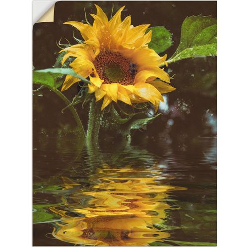 4062144088258 - Wandbild ARTLAND Sonnenblume Bilder Gr B H 30 cm x 40 cm Wandaufkleber - Vinyl Blumen 1 St gelb Bild Kunstdruck Metallbild Metallbilder Bilder als Alubild Leinwandbild Wandaufkleber oder Poster in versch Größen