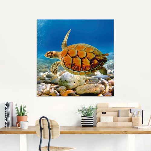 4055327018999 - Glasbild ARTLAND Schildkröte Bilder Gr B H 20 cm x 20 cm Wassertiere 1 St blau Glasbilder Bilder in verschiedenen Größen