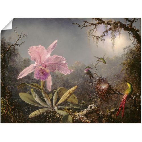 4062144792834 - Wandbild ARTLAND Cattleya Orchidee und drei Kolibris Bilder Gr B H 80 cm x 60 cm Poster Blumenbilder Querformat 1 St beige (naturfarben) Kunstdrucke als Alubild Leinwandbild Wandaufkleber oder Poster in versch Größen