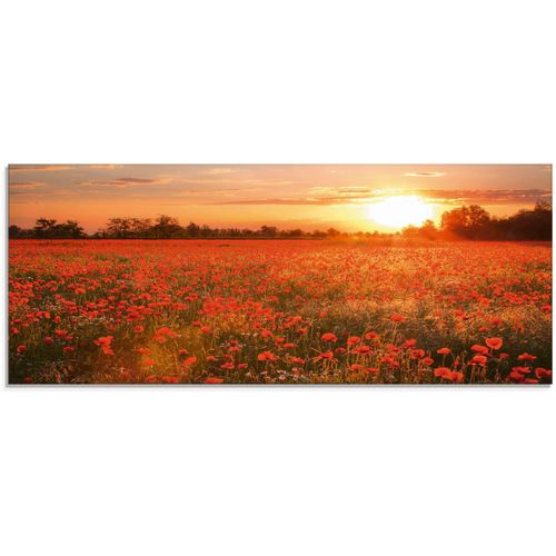 4062144101322 - Glasbild ARTLAND Mohnblumenfeld bei Sonnenuntergang Bilder Gr B H 125 cm x 50 cm Glasbild Blumen 1 St rot Glasbilder in verschiedenen Größen 4062144101322 - Glasbild ARTLAND Mohnblumenfeld bei Sonnenuntergang Bilder Gr B H 125 cm x 50 cm Glasbild Blumen 1 St rot Glasbilder in verschiedenen Größen