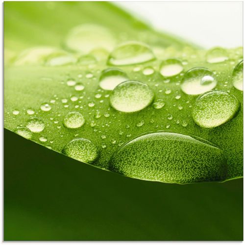 4055327045384 - Glasbild ARTLAND Blatt Bilder Gr B H 20 cm x 20 cm Zen 1 St grün Glasbilder Bilder in verschiedenen Größen