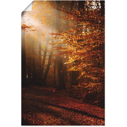 4059745091886 - Wandbild ARTLAND Sonnenaufgang im Herbst Bilder Gr B H 60 cm x 90 cm Poster Wald 1 St goldfarben Bild Kunstdruck Kunstdrucke Bilder als Alubild Leinwandbild Wandaufkleber oder Poster in versch Größen