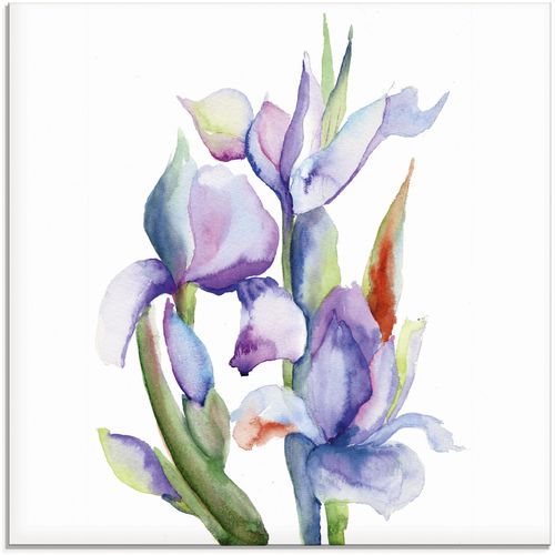 4059745776769 - Glasbild ARTLAND Iris Bilder Gr B H 40 cm x 40 cm Blumen 1 St blau Glasbilder Bilder in verschiedenen Größen