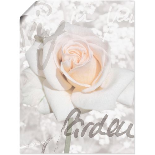 4055327289054 - Wandbild ARTLAND In Lettern - Rose Bilder Gr B H 60 cm x 80 cm Poster Blumen 1 St weiß Bild Leinwandbild Kunstdrucke Bilder als Alubild Leinwandbild Wandaufkleber oder Poster in versch Größen