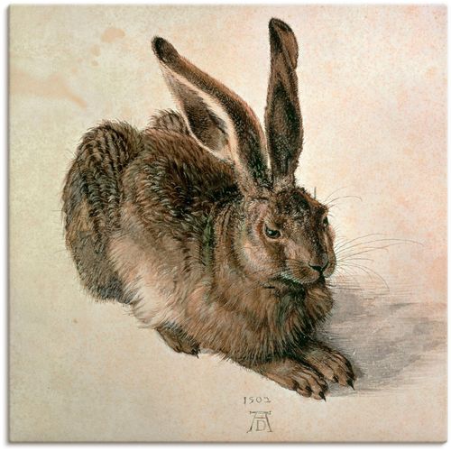 4055327651332 - Wandbild ARTLAND Junger Feldhase 1502 Bilder Gr B H 30 cm x 30 cm Leinwandbild Wildtiere 1 St braun Bild Poster Bilder als Leinwandbild Wandaufkleber oder in versch Größen 4055327651332 - Wandbild ARTLAND Junger Feldhase 1502 Bilder Gr B H 30 cm x 30 cm Leinwandbild Wildtiere 1 St braun Bild Poster Bilder als Leinwandbild Wandaufkleber oder in versch Größen
