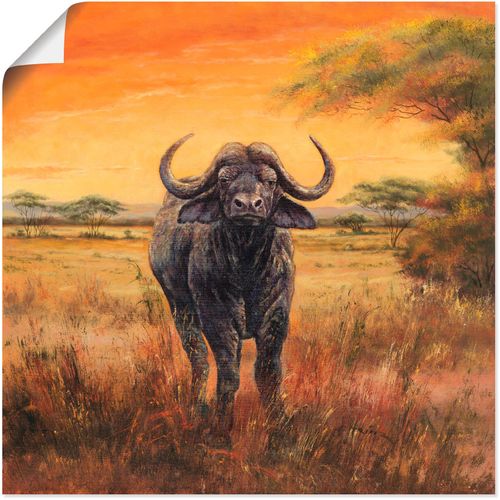 4055327279710 - Wandbild ARTLAND Büffel Bilder Gr B H 40 cm x 40 cm Poster Wildtiere 1 St orange Bild Leinwandbild Kunstdrucke Bilder als Alubild Leinwandbild Wandaufkleber oder Poster in versch Größen
