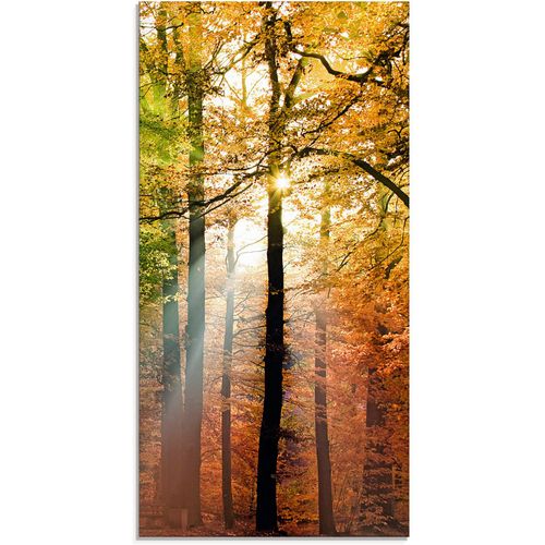 4058661600783 - Glasbild ARTLAND Schöner Herbsttag 2 Bilder Gr B H 30 cm x 60 cm Wald 1 St braun Glasbilder Bilder in verschiedenen Größen 4058661600783 - Glasbild ARTLAND Schöner Herbsttag 2 Bilder Gr B H 30 cm x 60 cm Wald 1 St braun Glasbilder Bilder in verschiedenen Größen