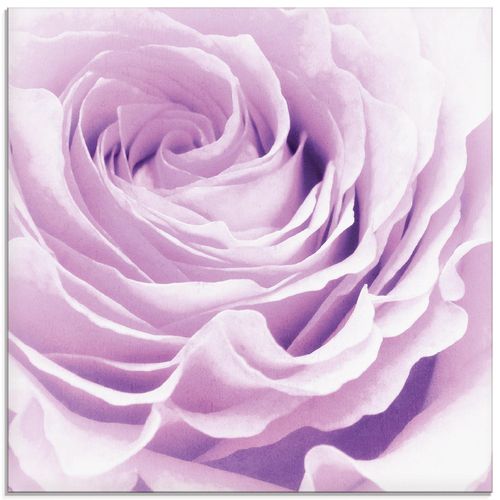4055327823784 - Glasbild ARTLAND Pastell Rose Bilder Gr B H 20 cm x 20 cm Glasbild Blumen quadratisch 1 St pink Bild Glasbild Glasbilder Bilder in verschiedenen Größen